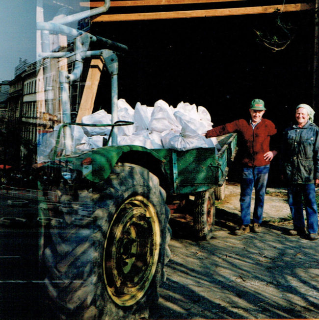 Johannes Reger 1991